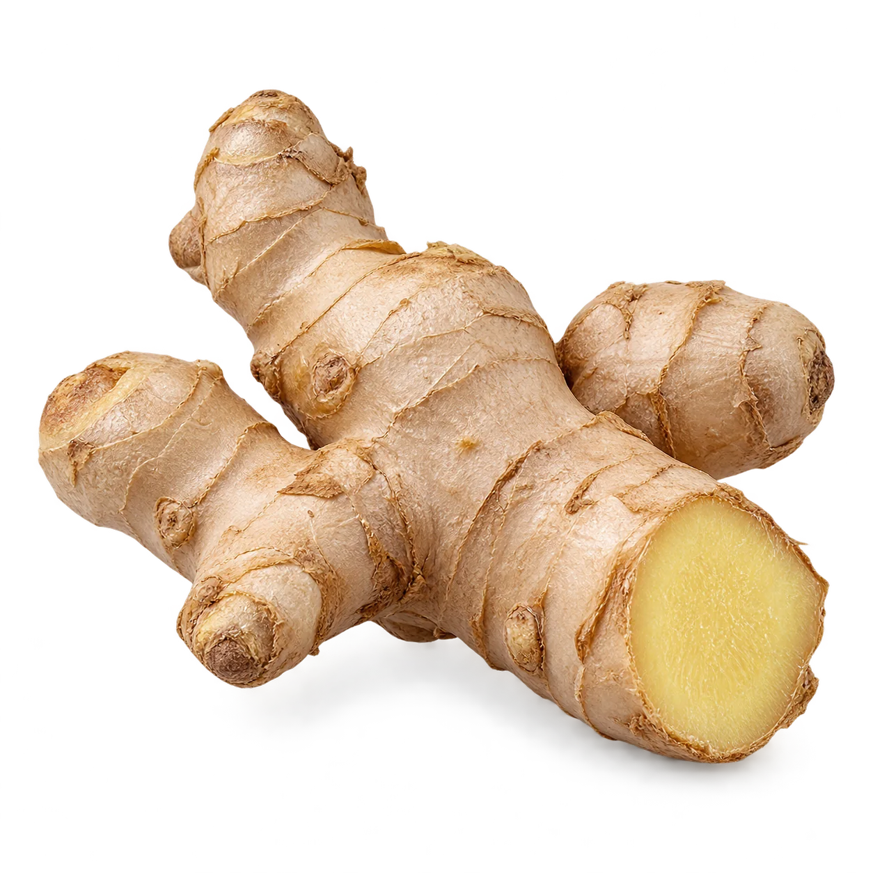 Fresh ginger root