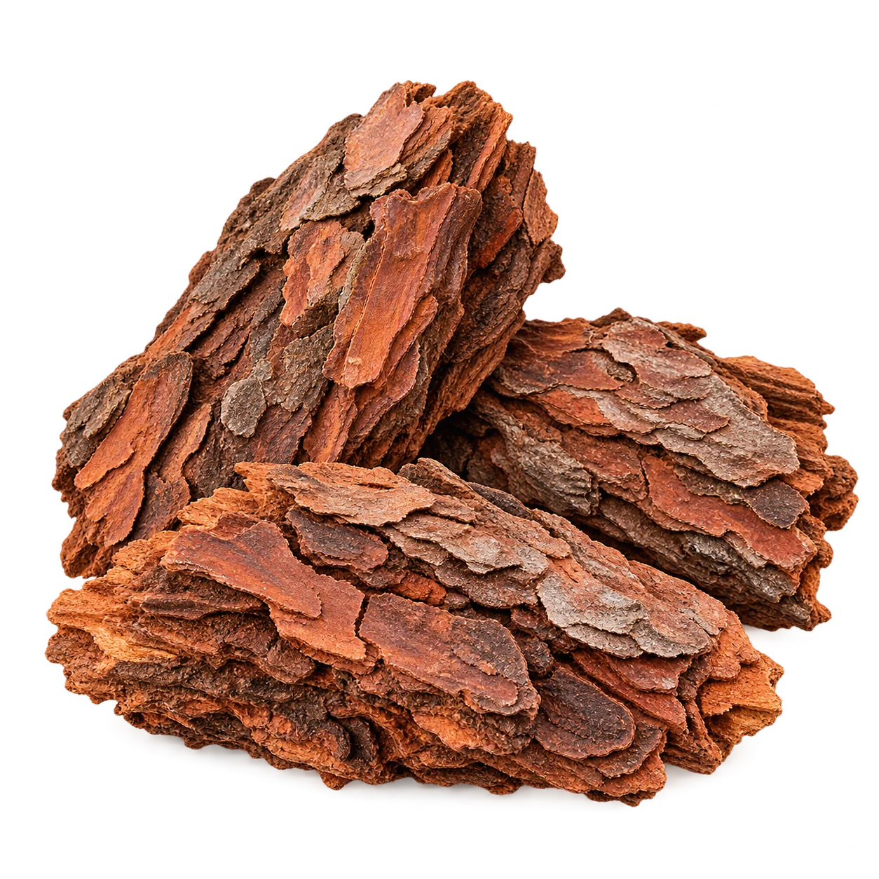 Pieces of reddish-brown maritime pine bark
